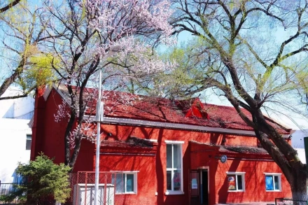 Heilongjiang University — campus