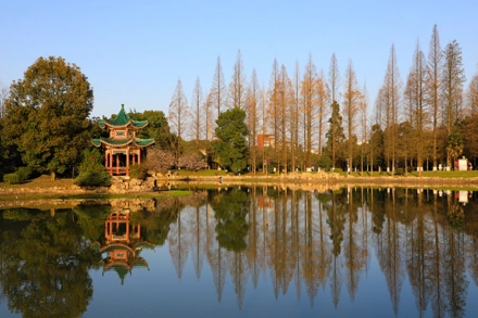 Hunan Agricultural University — campus