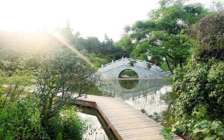 Jiangxi University of Traditional Chinese Medicine — campus