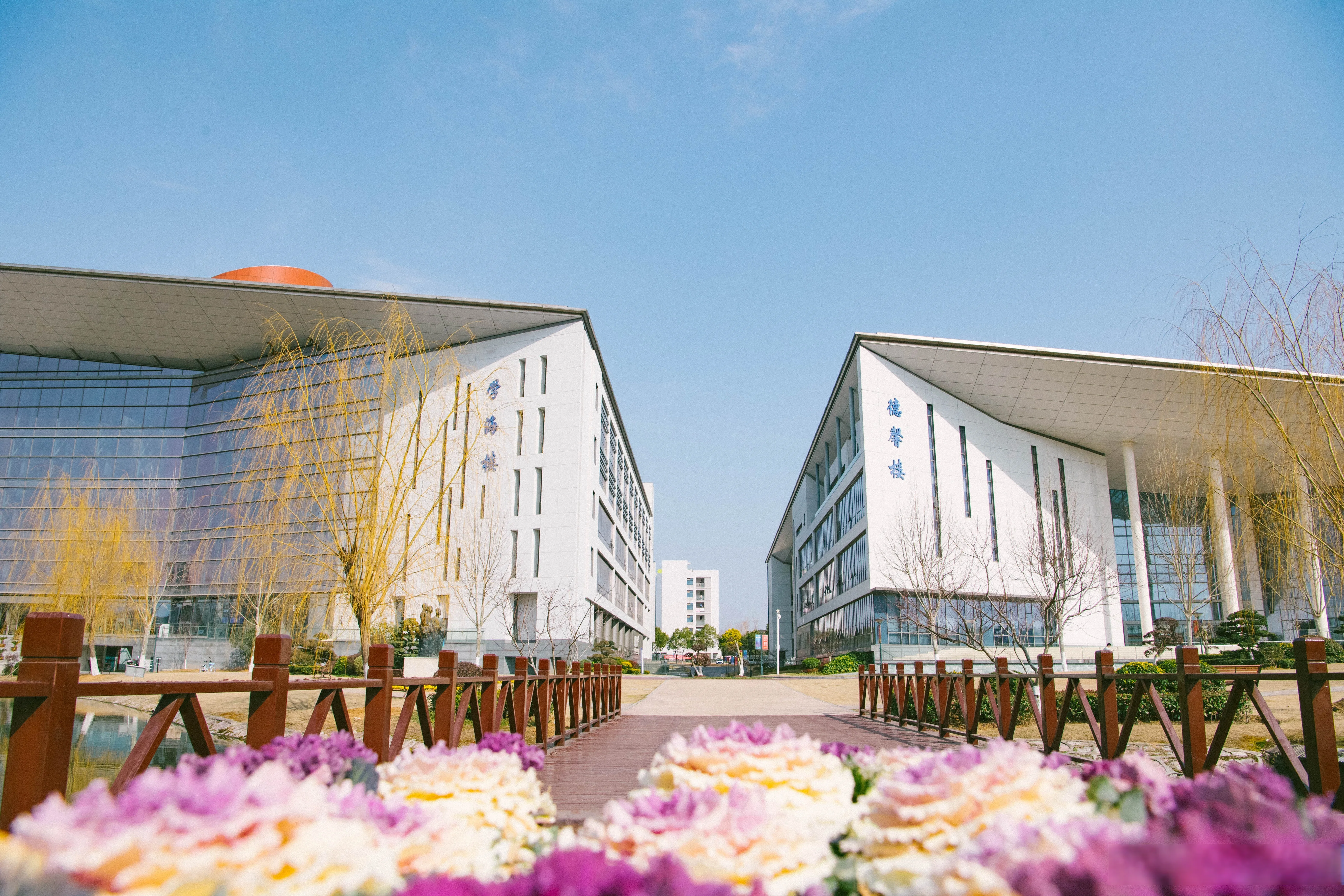 Nanjing Medical University — campus