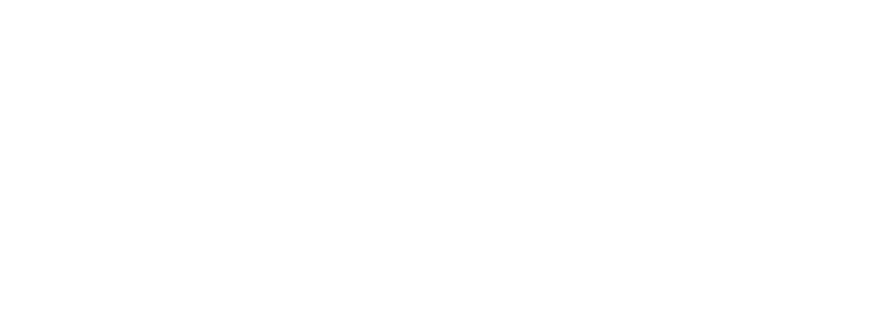 Southwestern University of Political Science and Law logo